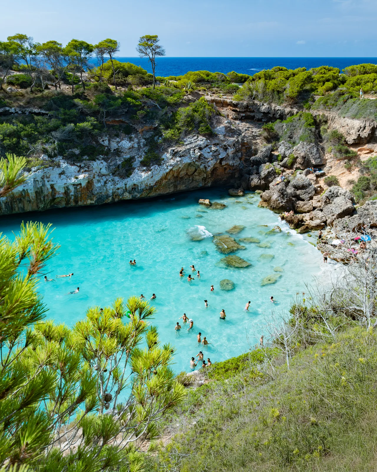 The Cala