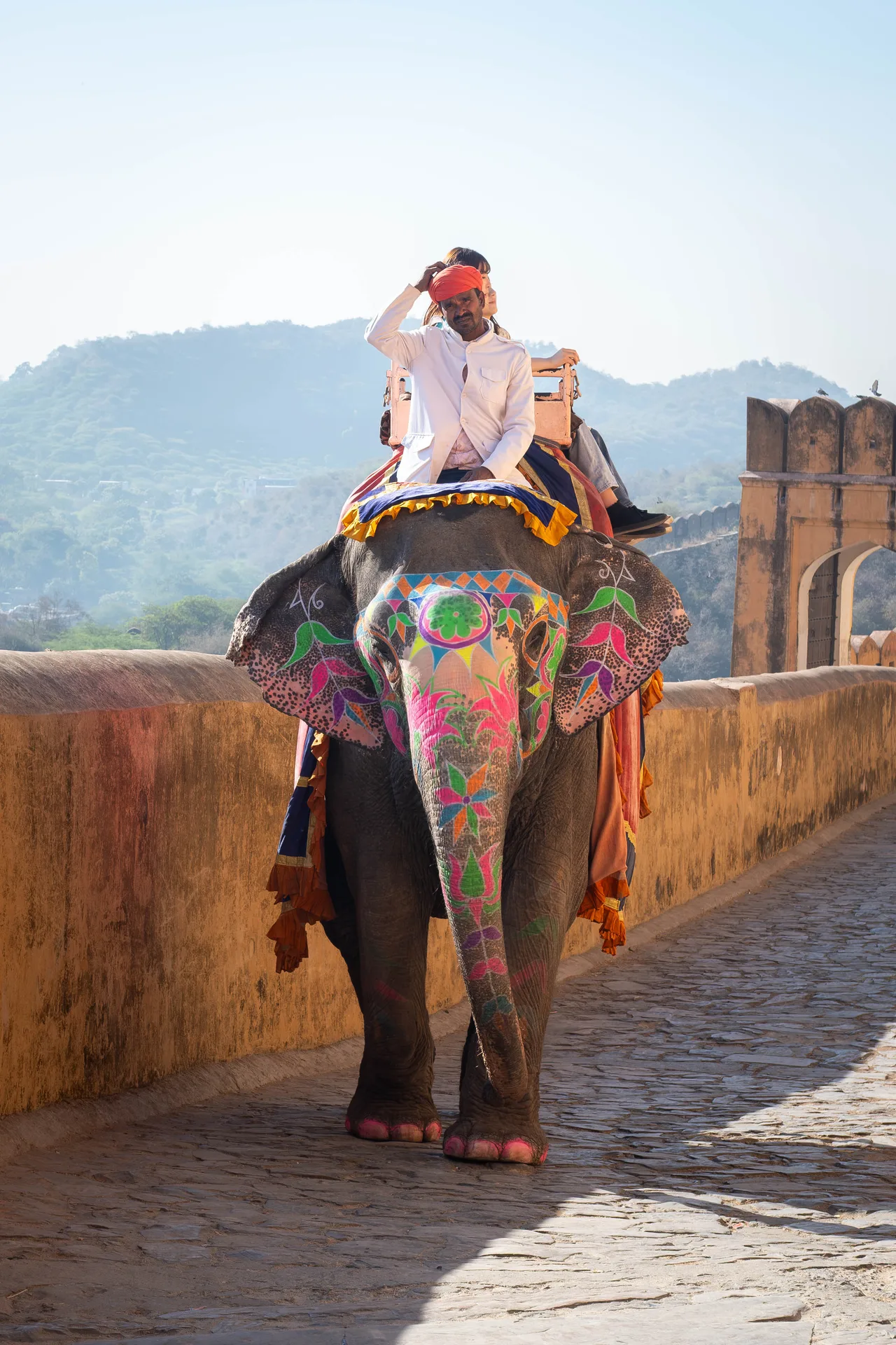 Elephant Rider — Jaipur, India