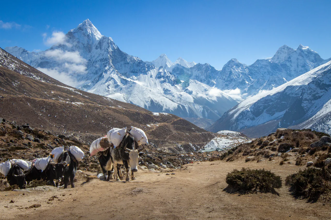 High Trail — Khumbu, Nepal