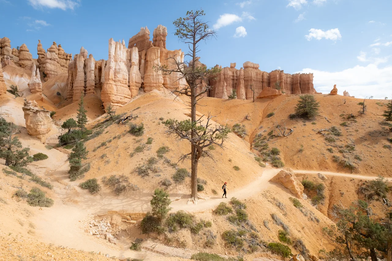 Hoodoo Trail — Bryce Canyon, Utah