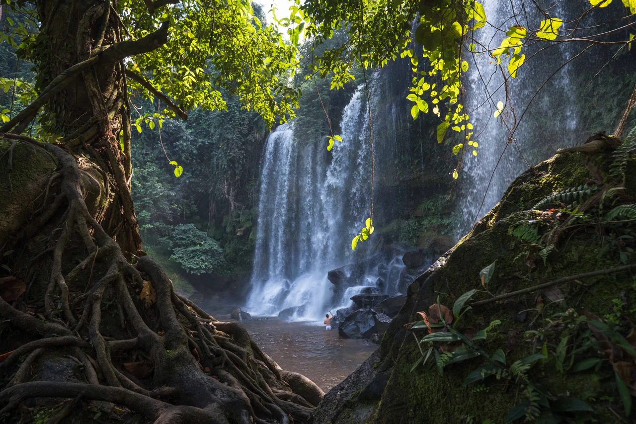 Jungle Falls