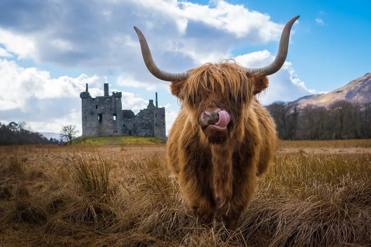 Kilchurn — Loch Awe, Scotland