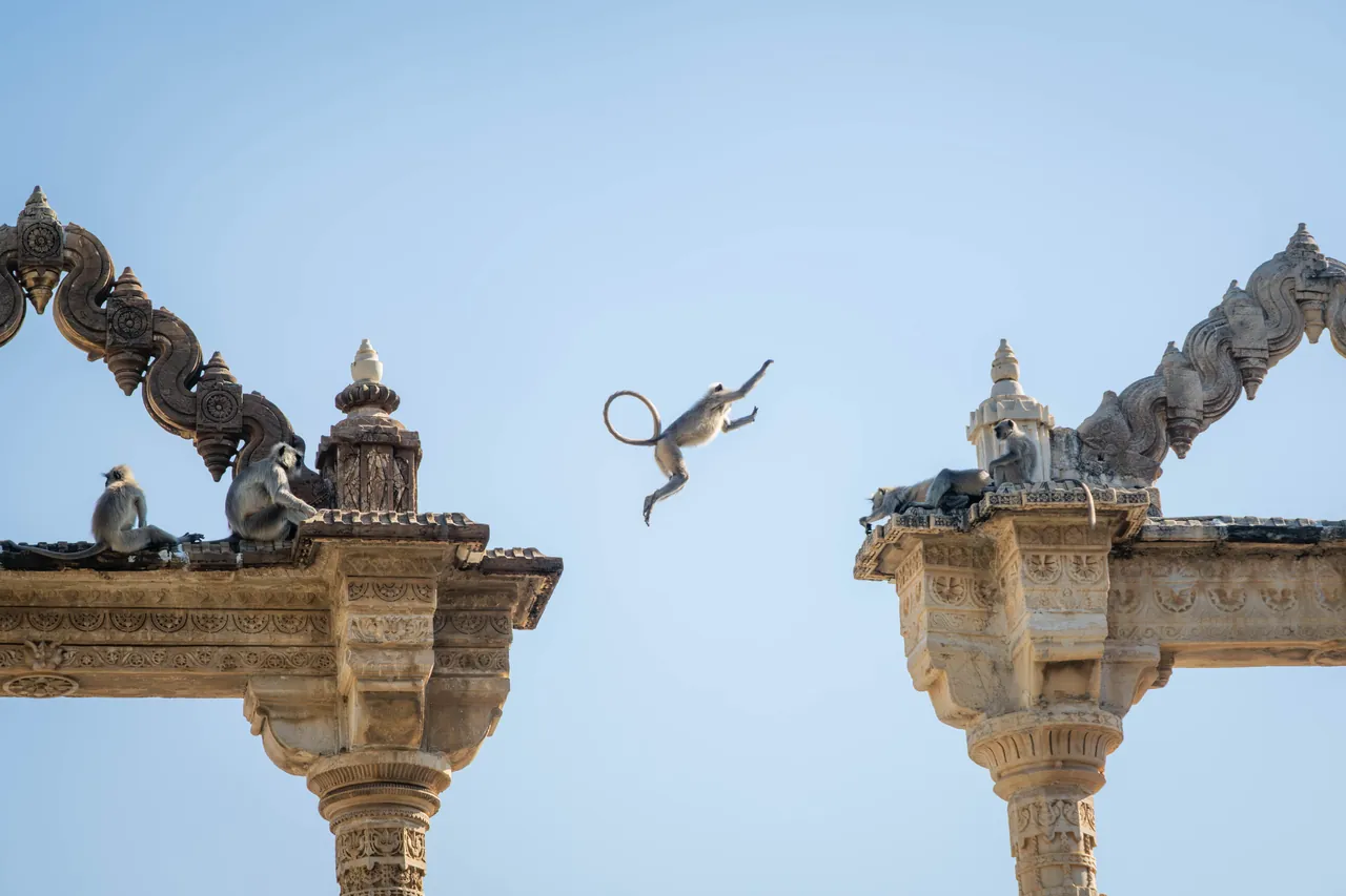 Between the Pillars — Jaipur, India