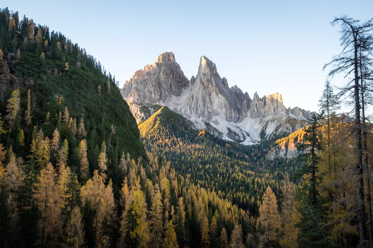 Larch Season — Dolomites, Italy