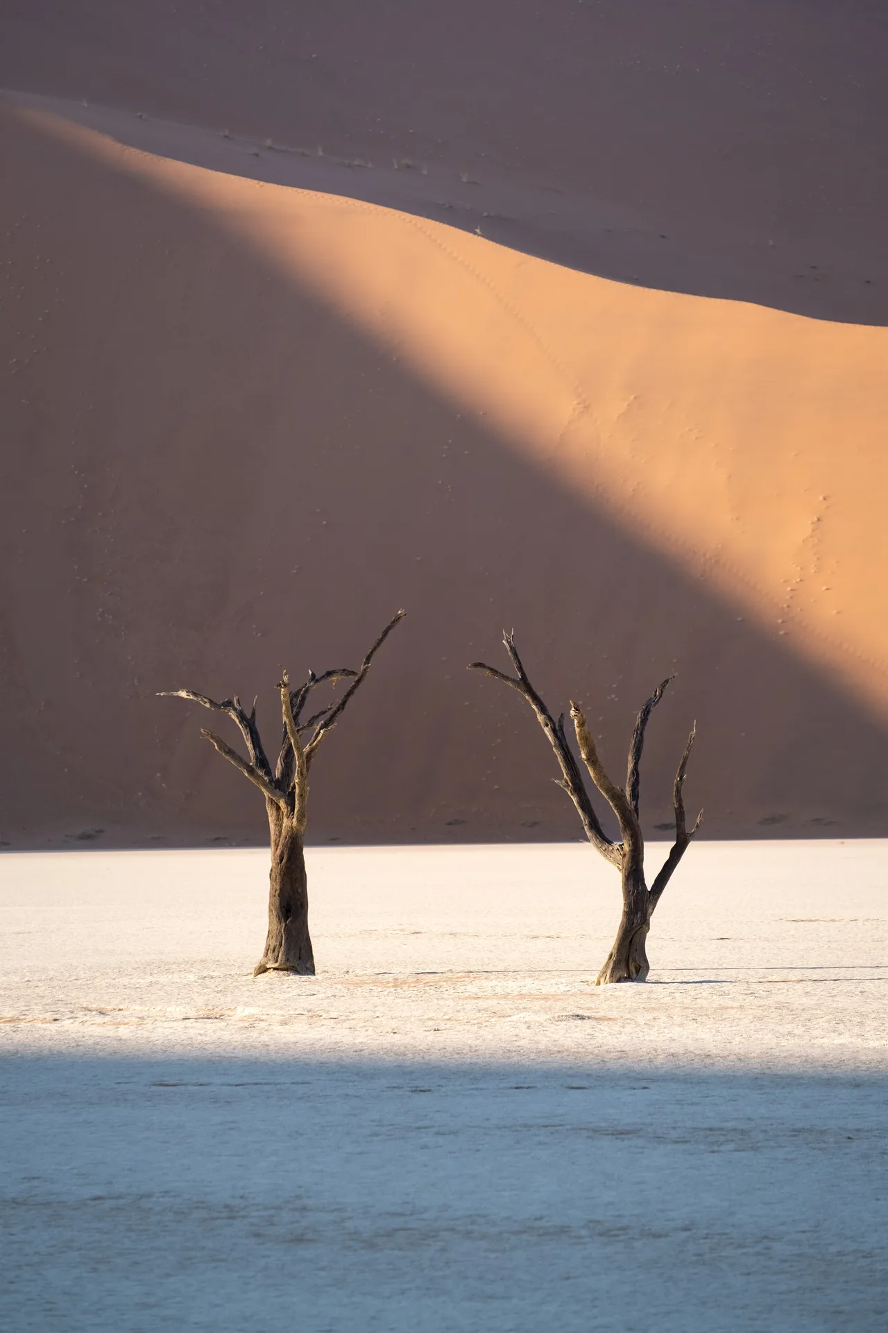Light Line — Sossusvlei, Namibia