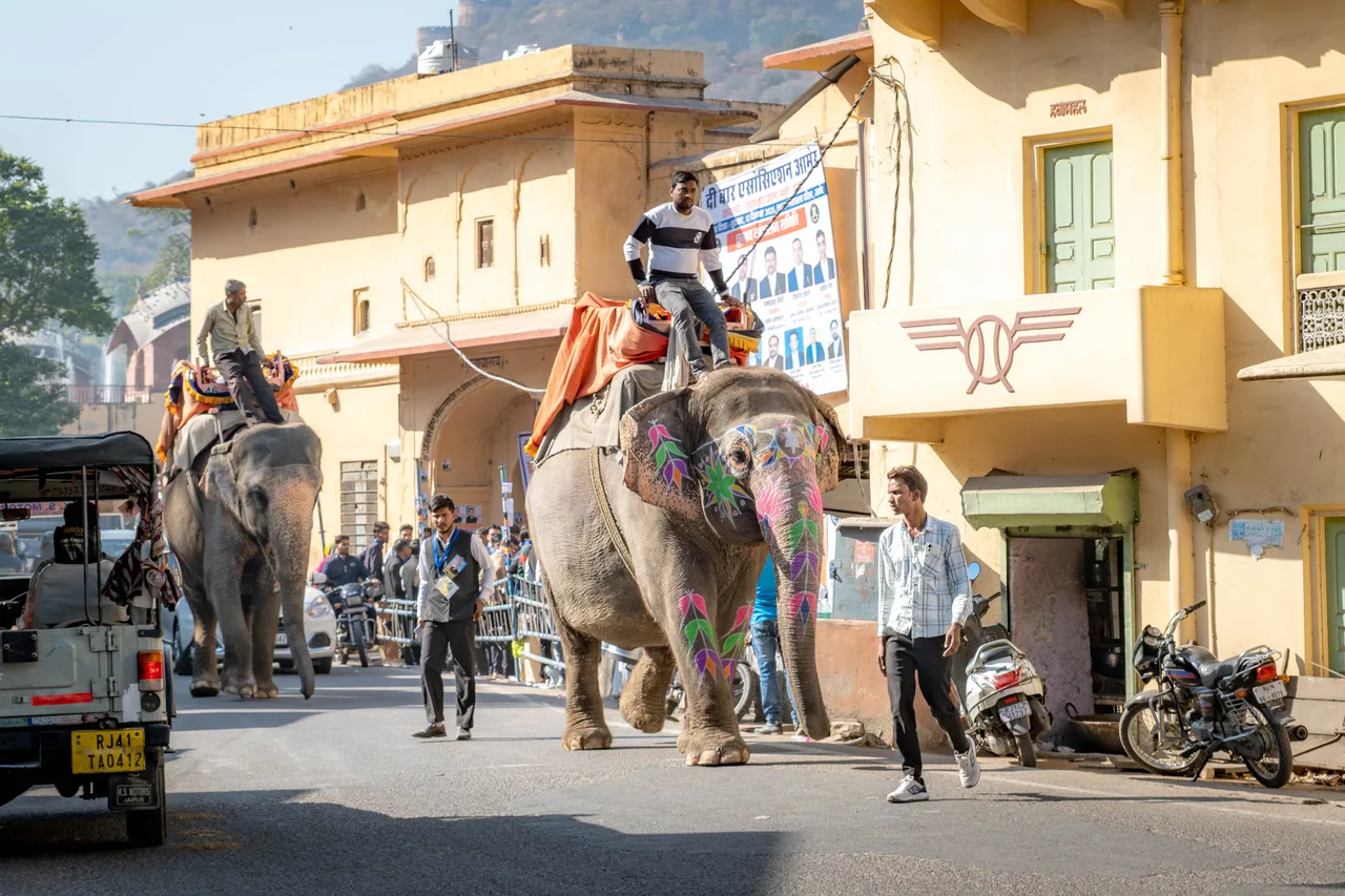 Morning Traffic — Jaipur, India