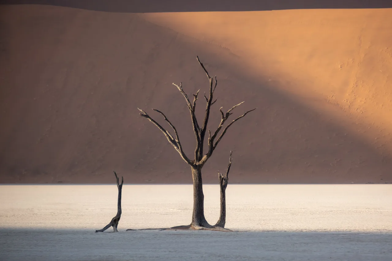 Nine Hundred Years — Sossusvlei, Namibia