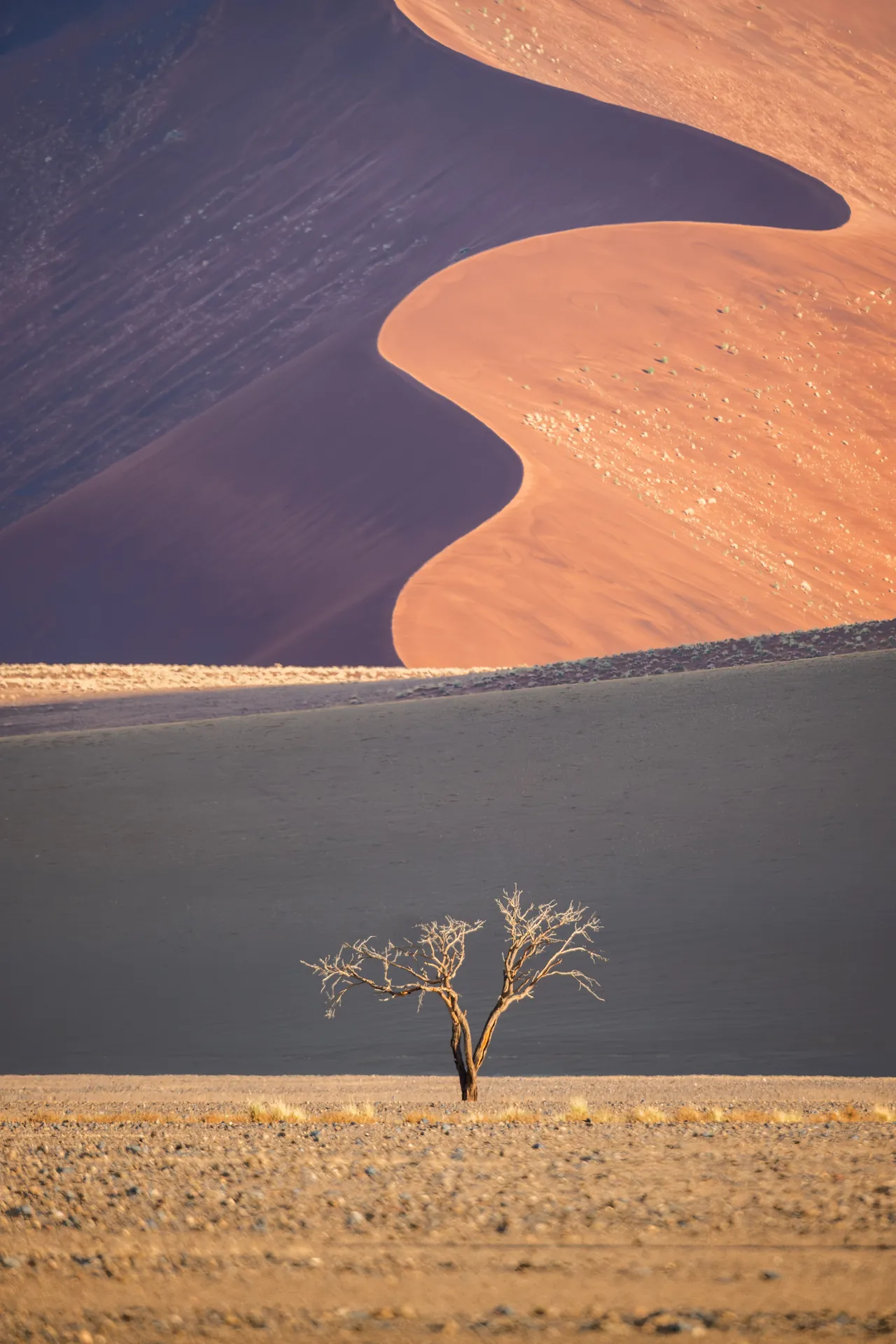 Shadow Line — Sossusvlei, Namibia