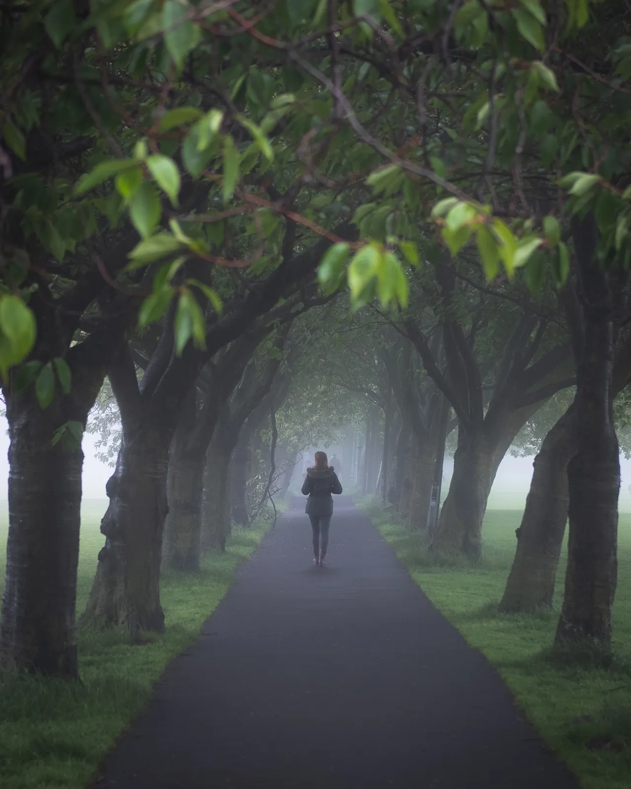 The Meadows — Edinburgh, Scotland
